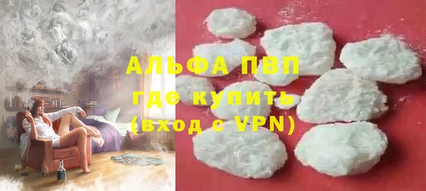 прущие грибы Арсеньев