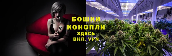 spice Армянск