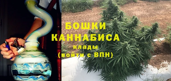 ГАЛЛЮЦИНОГЕННЫЕ ГРИБЫ Яранск