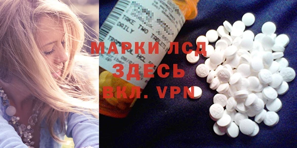 стаф Алексин