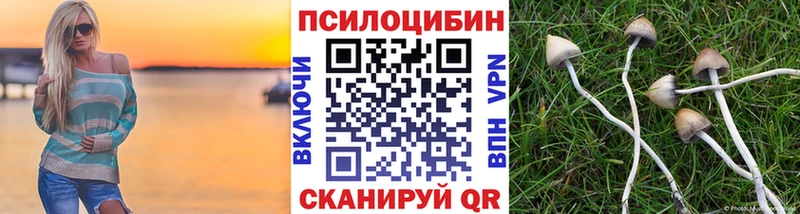 Псилоцибиновые грибы прущие грибы  цена   Бологое 